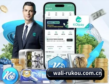 瓦力入口 APP