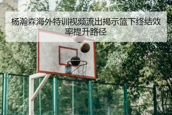 杨瀚森海外特训视频流出揭示篮下终结效率提升路径